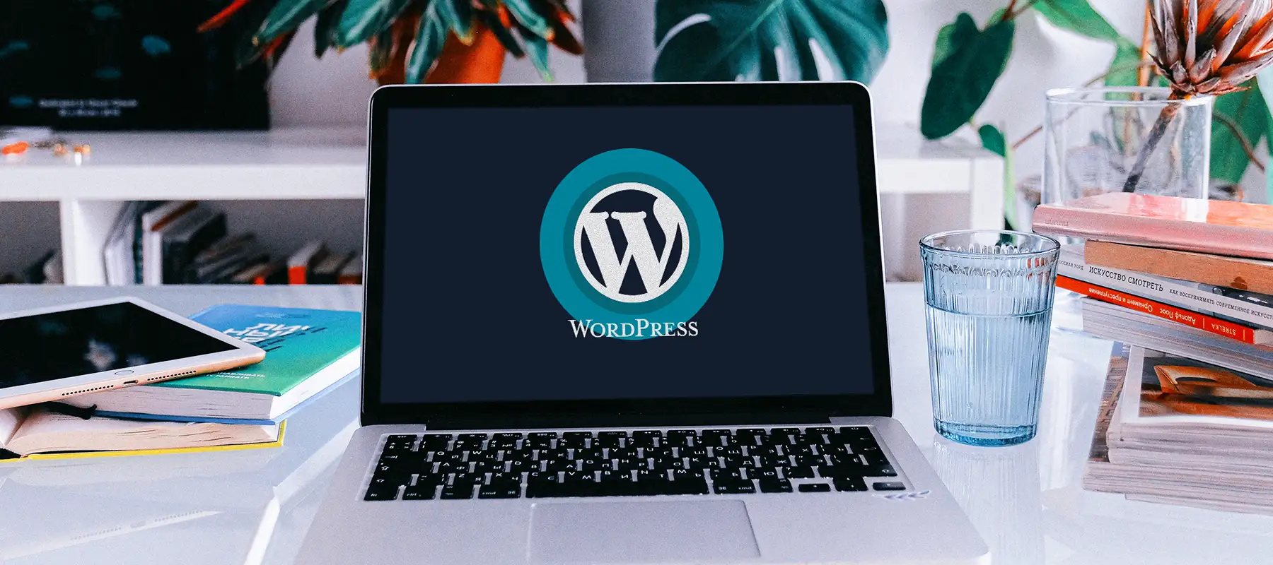 back-office wordpress