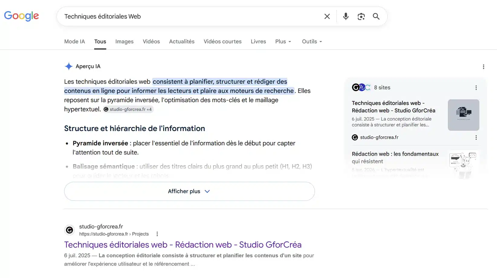 exemple de ai overview