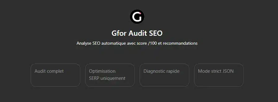 gfor-audit-seo-automatise-chatgpt